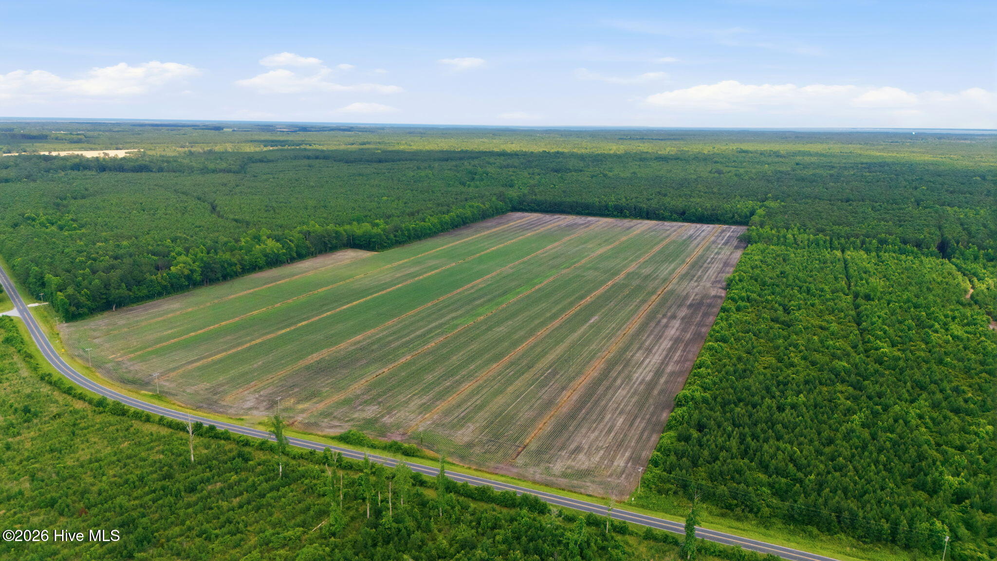 N/a Florence Road Merritt, NC 28556 - Photo 2 of 5