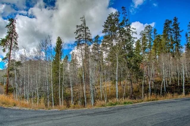 a view of a bathroom shower