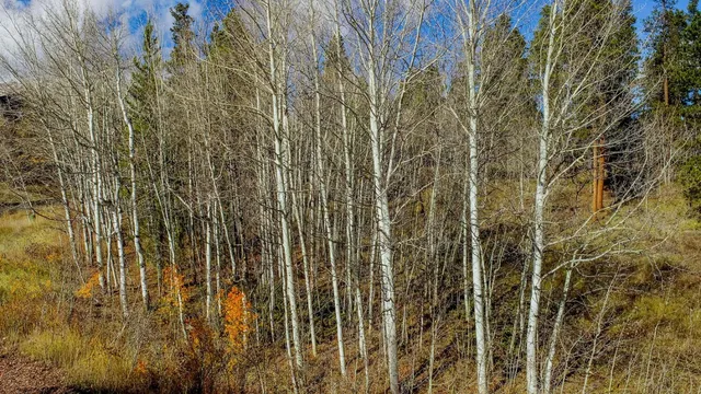 a view of water heater with wooden floor