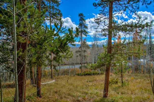 a view of a yard with a tree