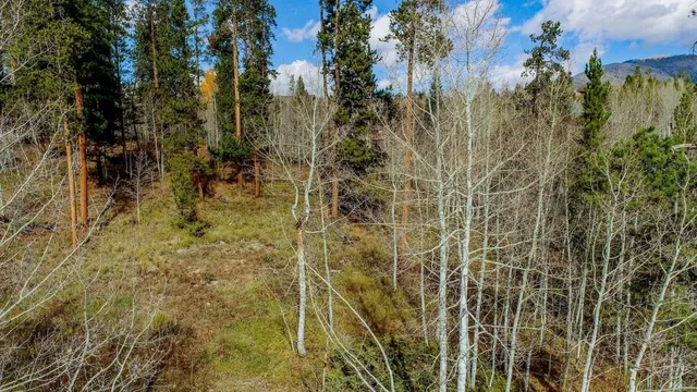 a view of a lot of trees and houses in a yard
