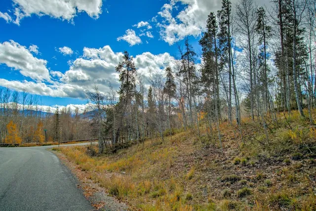 a view of a bunch of trees