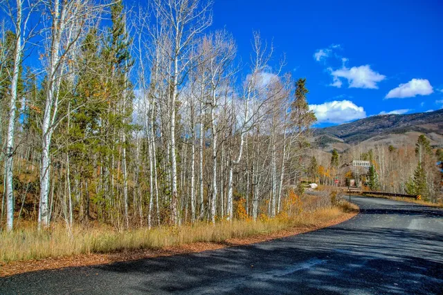 a view of a livingroom with wooden floor and a yard