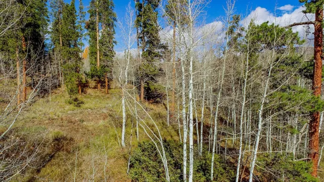 a view of a house with a tree and yard