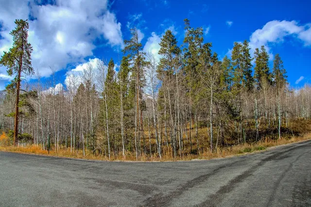 a view of outdoor space and garden