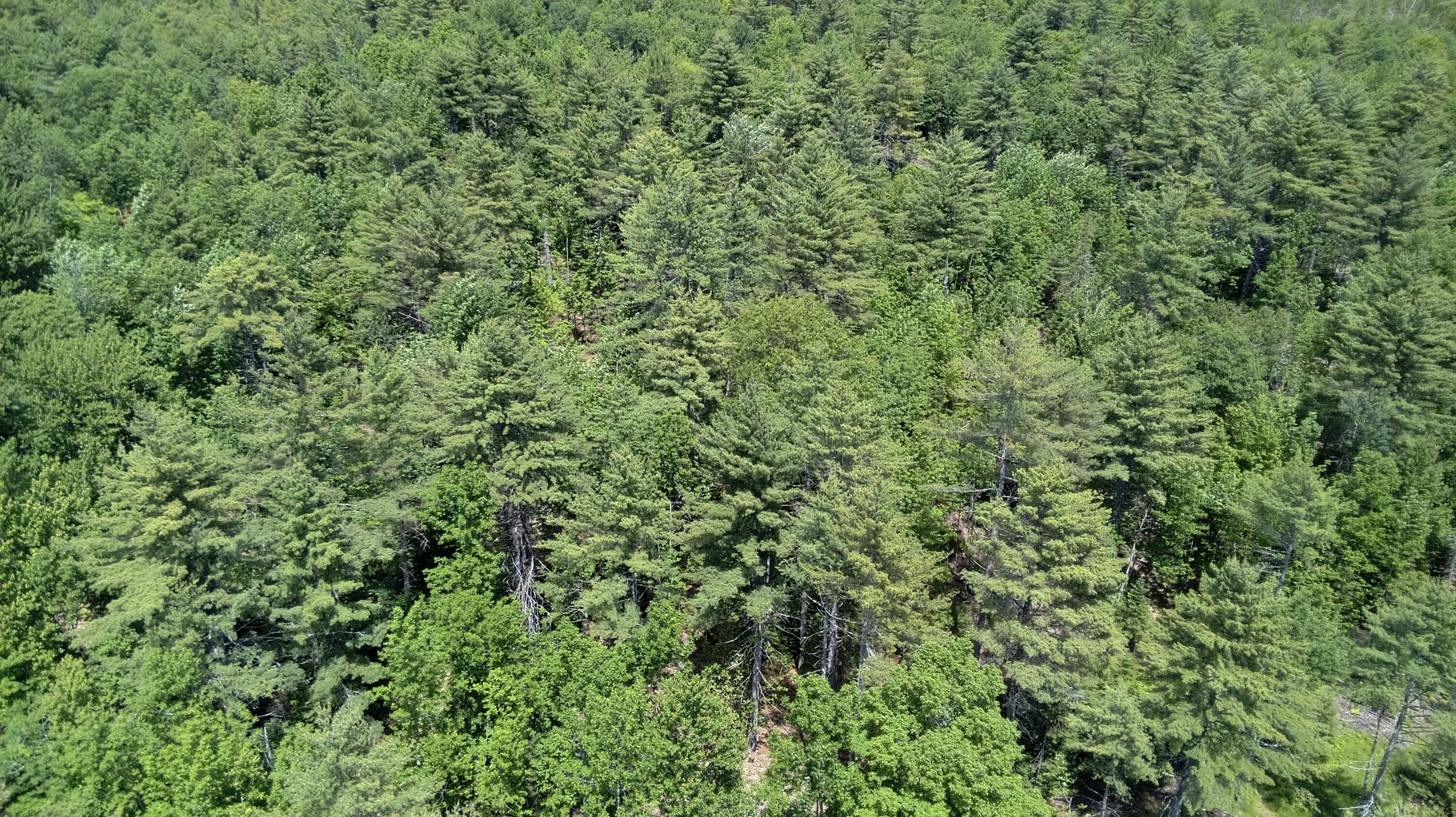 5 Fickett Road Etna, ME 04434 - Photo 9 of 23
