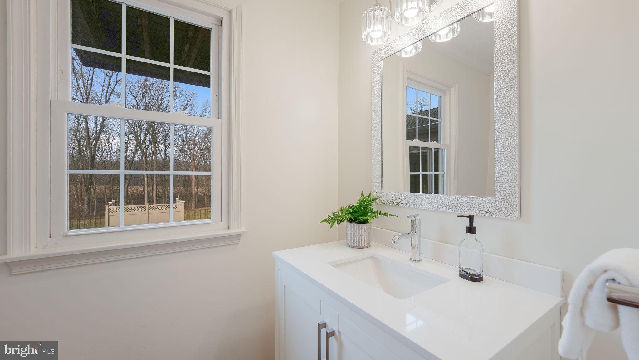 2520 Valley Road Jamison, PA 18929 - Photo 21 of 40 a bathroom with a sink a vanity and a mirror