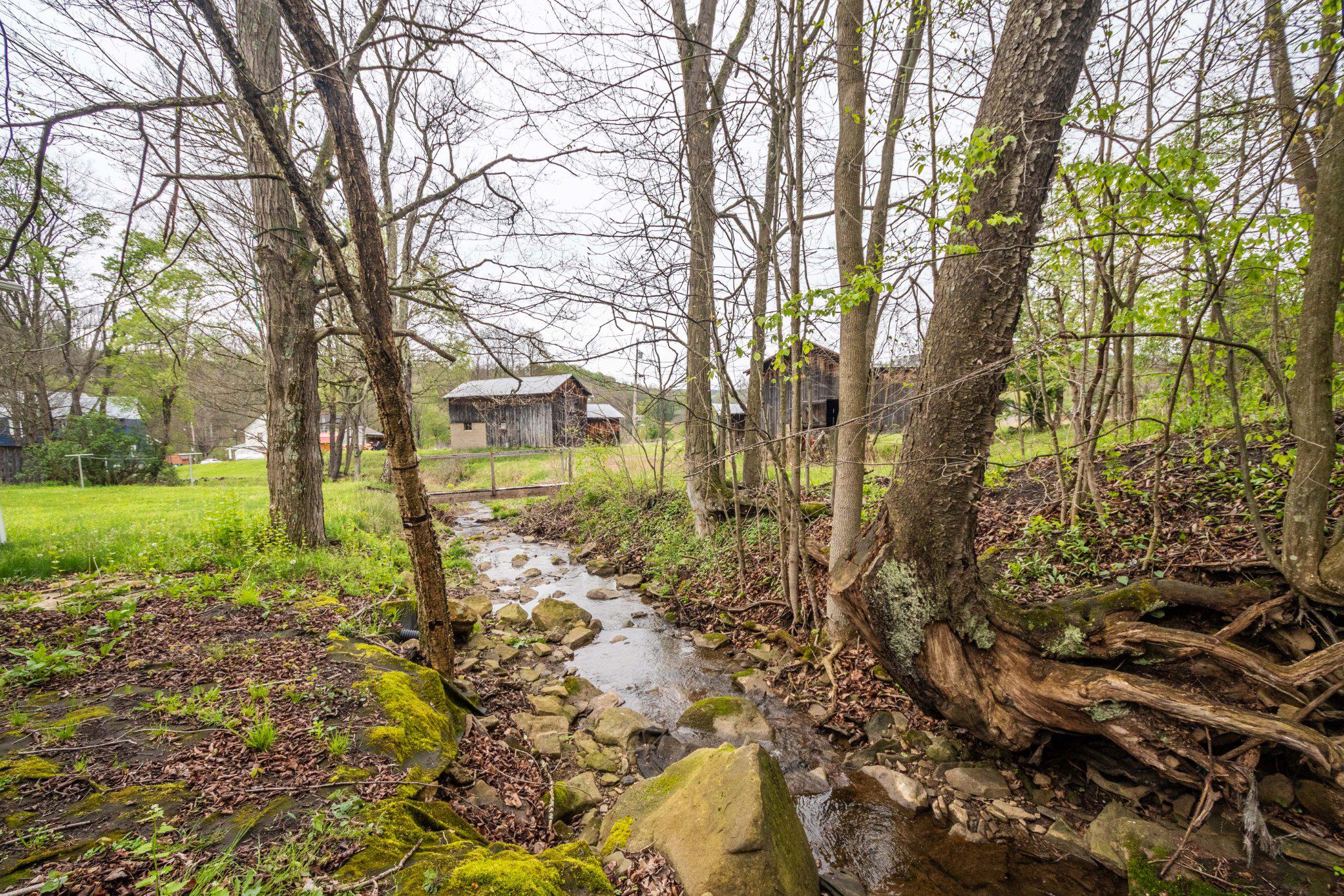 2155 Jennings Road Grantsville, MD 21536 - Photo 11 of 39 Tranquil stream behind property