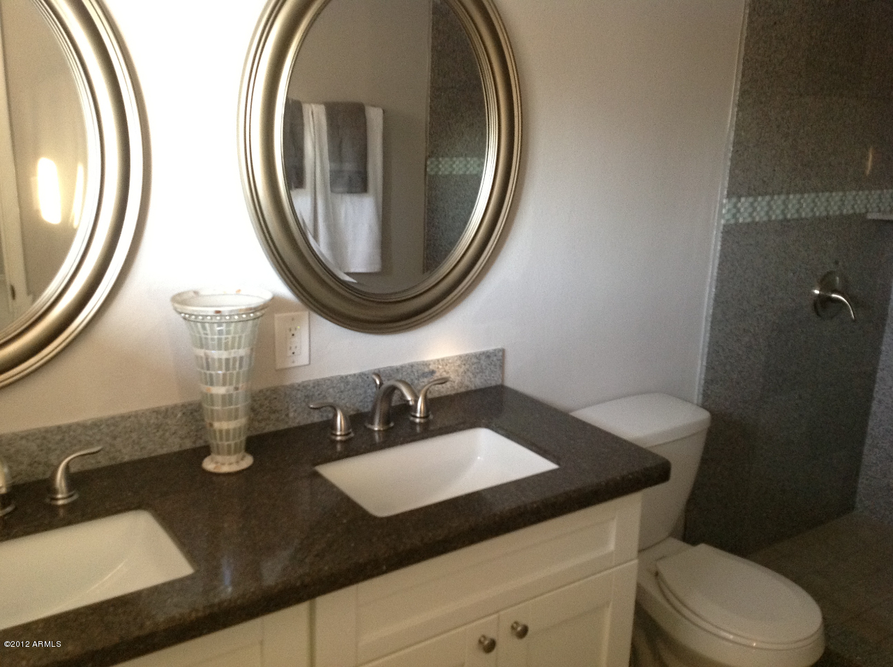 3511 South Terrace Road Tempe, AZ 85282 - Photo 13 of 18 Terrace master bath