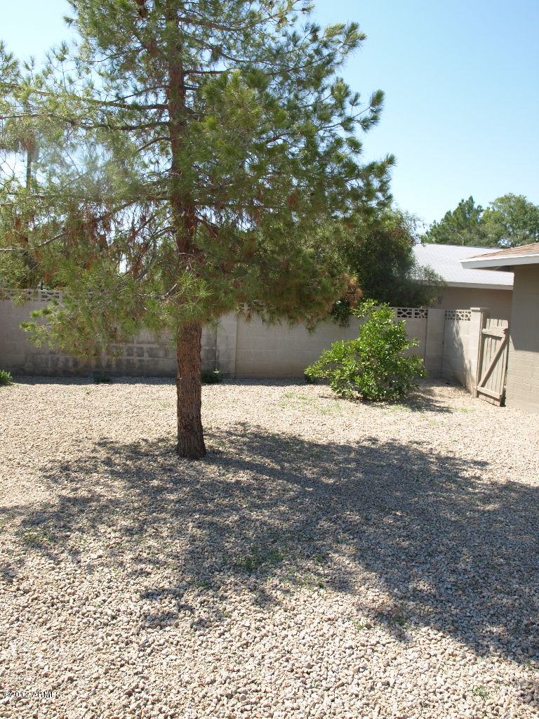 3511 South Terrace Road Tempe, AZ 85282 - Photo 18 of 18 Terrace BackYard