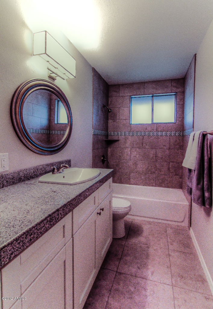 3511 South Terrace Road Tempe, AZ 85282 - Photo 9 of 18 Guest Bath