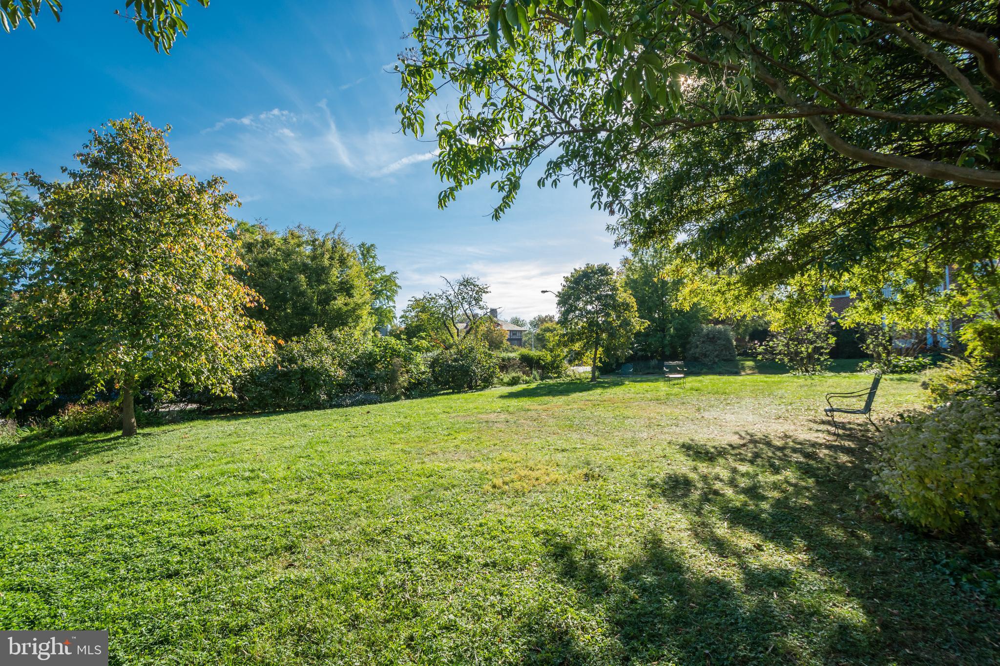 4324 Roland Avenue Baltimore, MD 21210 - Photo 7 of 67 The Court's Expansive, Sunny Shared Yard