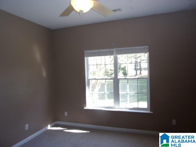 160 Peaceful Lane Springville, AL 35146 - Photo 7 of 14