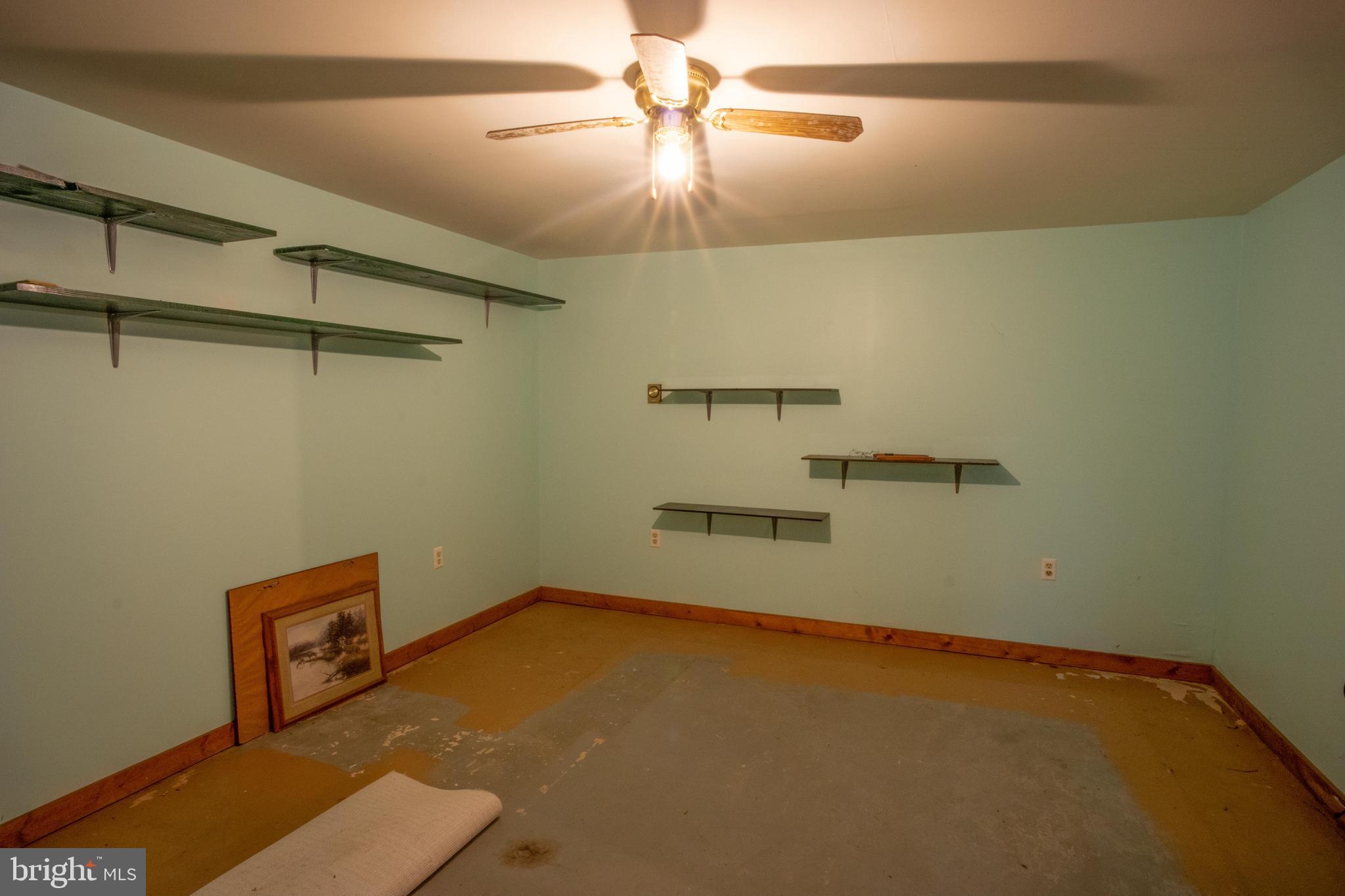445 Marley Road Elkton, MD 21921 - Photo 24 of 34 Utility Room on Lower Level with Shelving