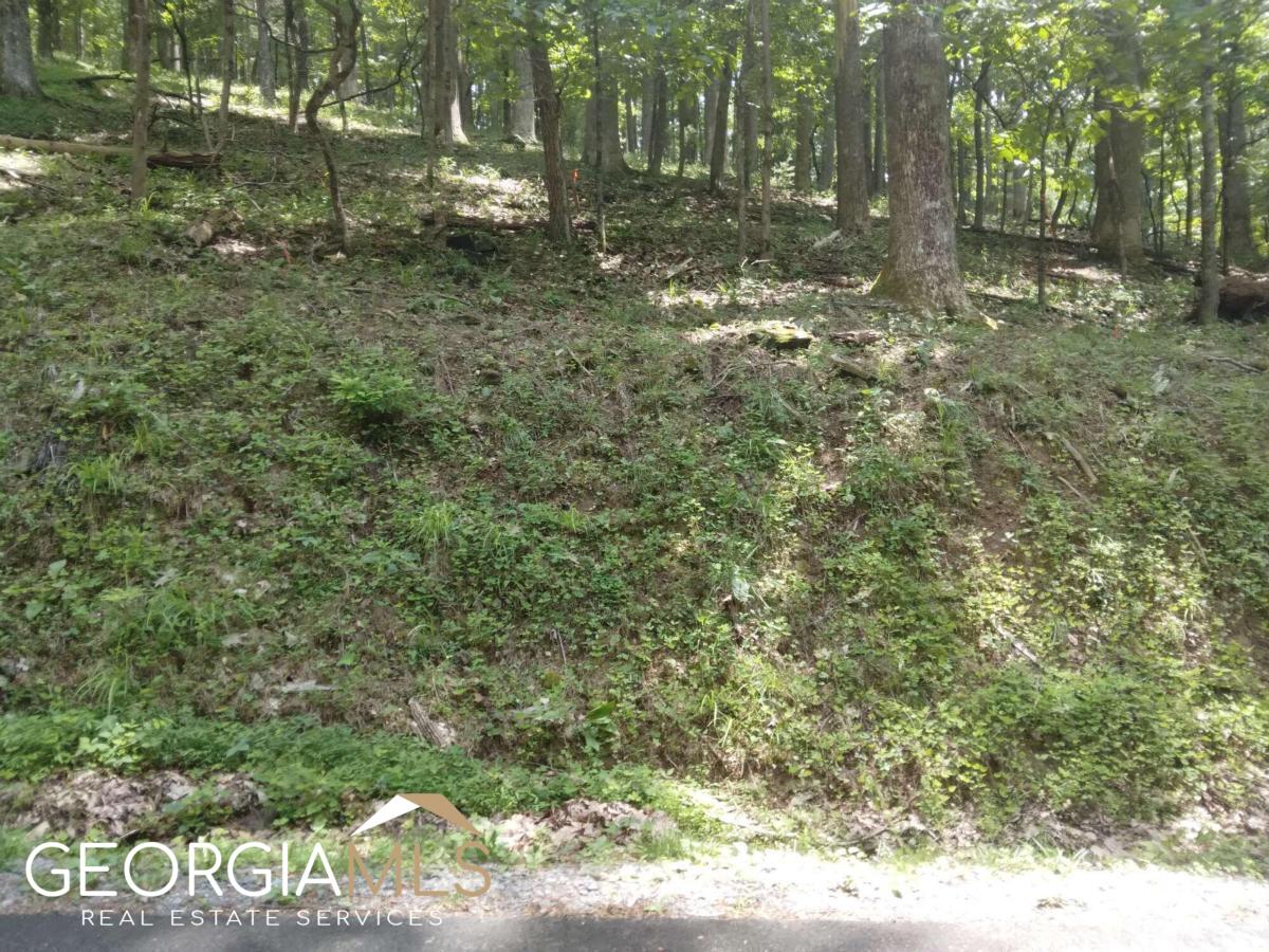 a view of a yard with a tree
