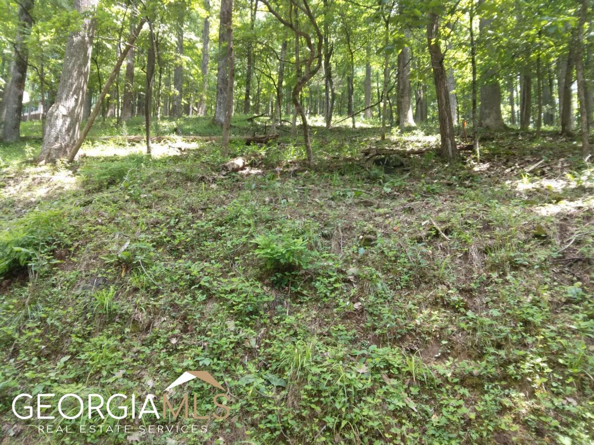 M213 Walnut Ridge, Unit M213 Ellijay, GA 30536 - Photo 2 of 9 a view of outdoor space and green space