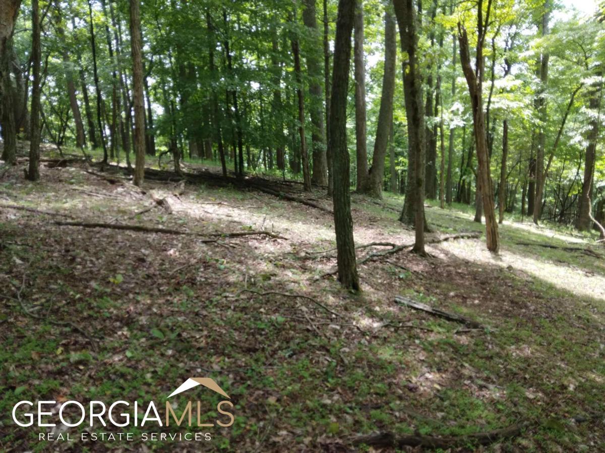 M213 Walnut Ridge, Unit M213 Ellijay, GA 30536 - Photo 4 of 9 a view of open space with trees