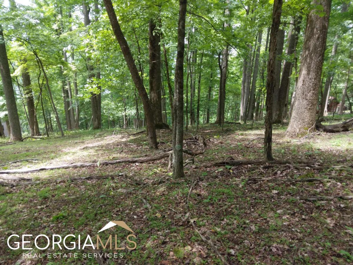 M213 Walnut Ridge, Unit M213 Ellijay, GA 30536 - Photo 5 of 9 a view of outdoor space with trees