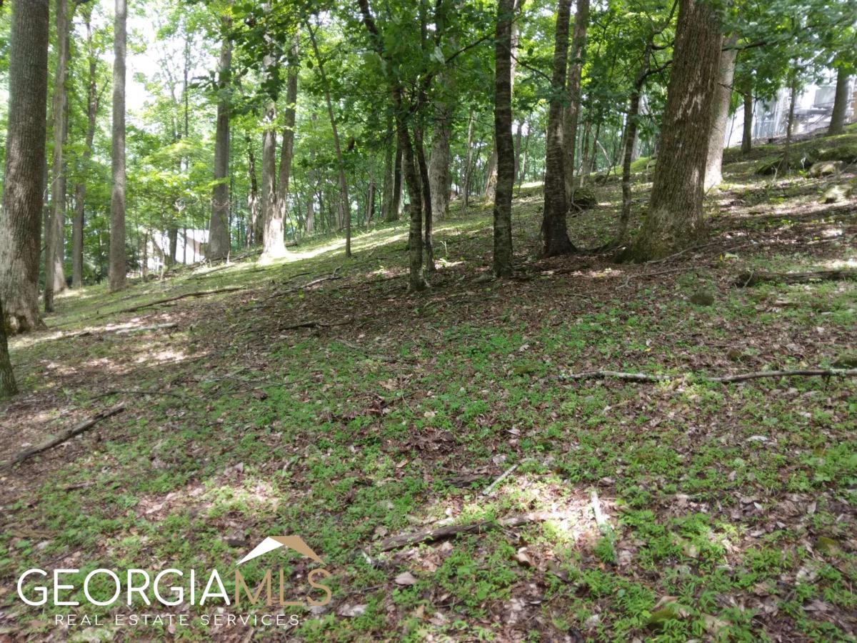 M213 Walnut Ridge, Unit M213 Ellijay, GA 30536 - Photo 6 of 9 a view of outdoor space with trees