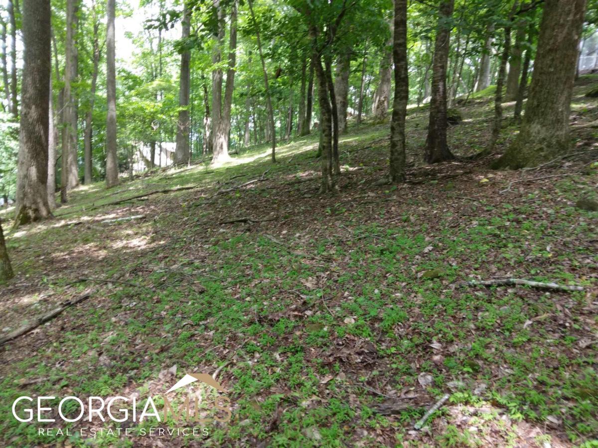 M213 Walnut Ridge, Unit M213 Ellijay, GA 30536 - Photo 7 of 9 a view of outdoor space with trees all around