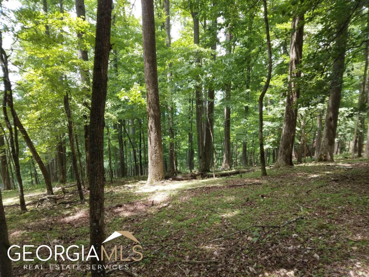 M213 Walnut Ridge, Unit M213 Ellijay, GA 30536 - Photo 9 of 9 a view of outdoor space with trees