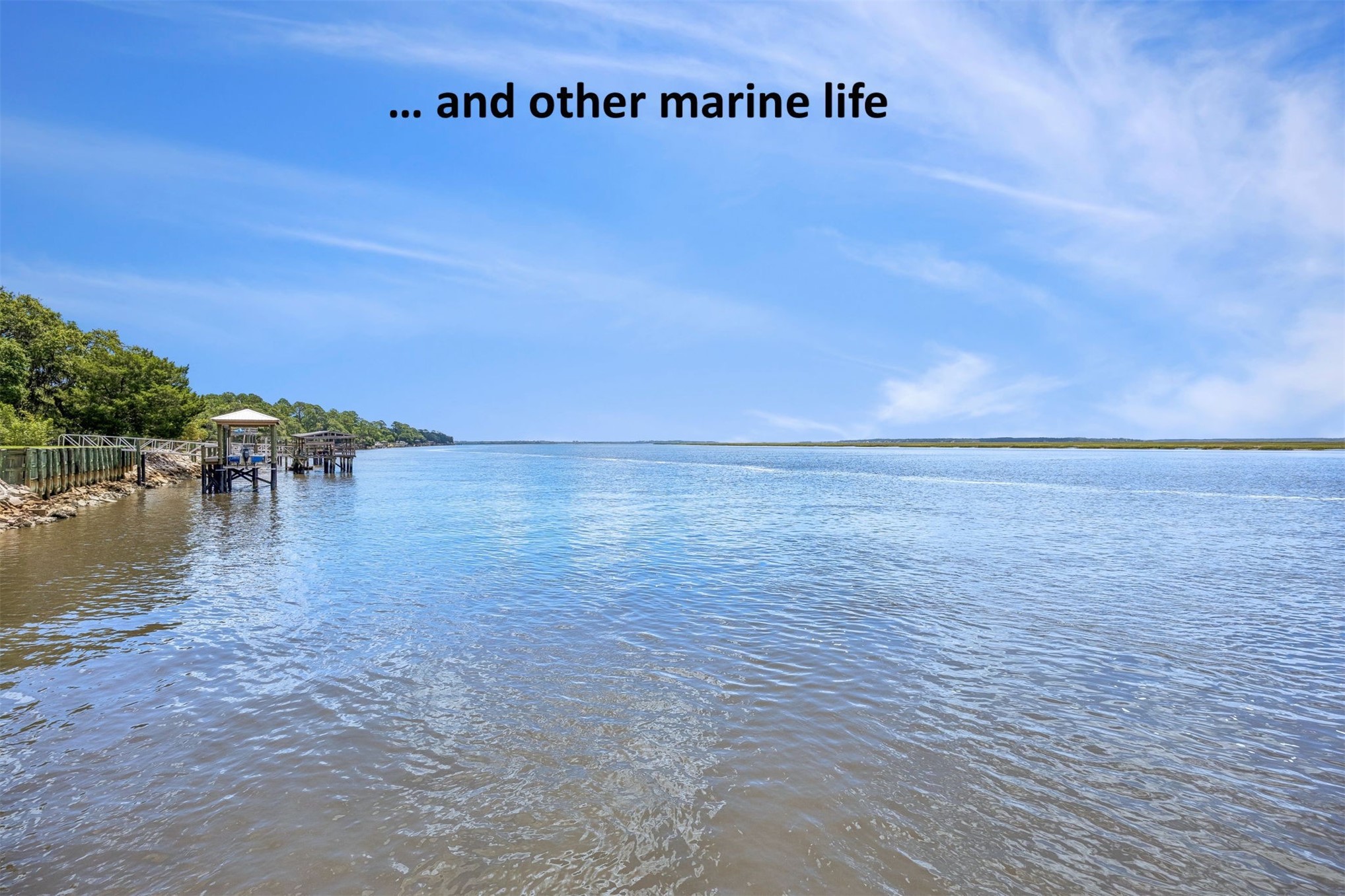 Lot 1 Russell Road Fernandina Beach, FL 32034 - Photo 15 of 43 It’s a front-row seat to the natural beauty of the river every single day...