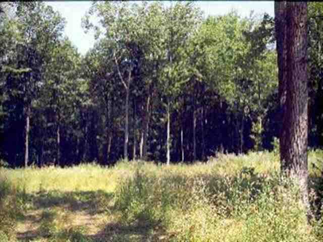 8555 Talladay Road Whittaker, MI 48190 - Photo 1 of 1 901234.JPG