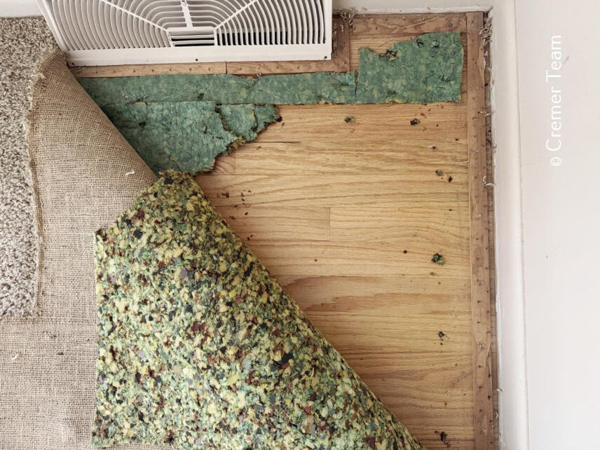 9068 Victor Avenue Jenison, MI 49428 - Photo 3 of 30 Living Room Floors Under Carpet