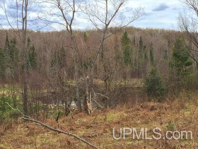 Tbd Carpenter Road Crystal Falls, MI 49920 - Photo 21 of 21