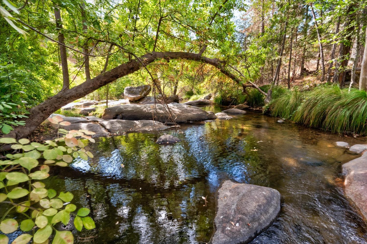42893 Scenic Drive Oakhurst, CA 93644 - Photo 2 of 67