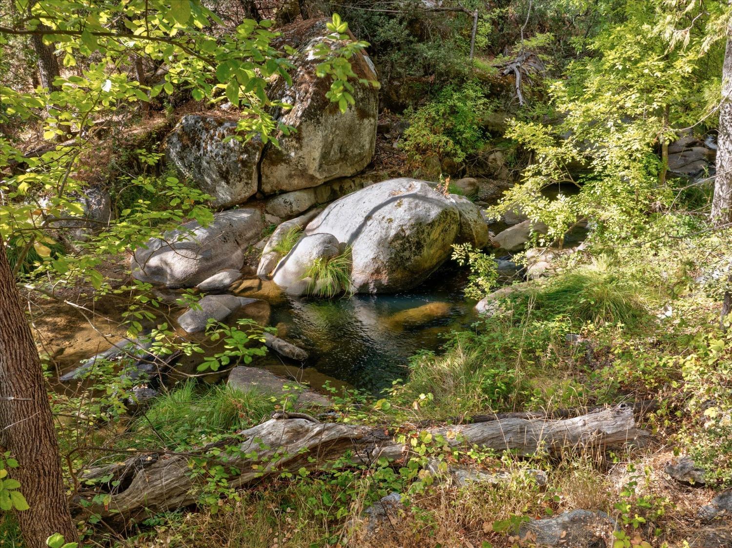 42893 Scenic Drive Oakhurst, CA 93644 - Photo 61 of 67