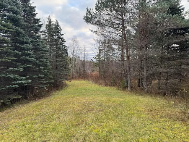 $159,900 | 7104 Highway 117, Engadine, MI 49827