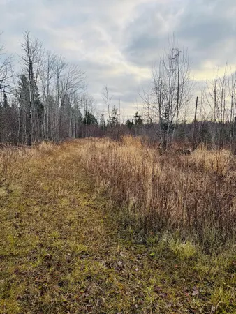 $159,900 | 7104 Highway 117, Engadine, MI 49827