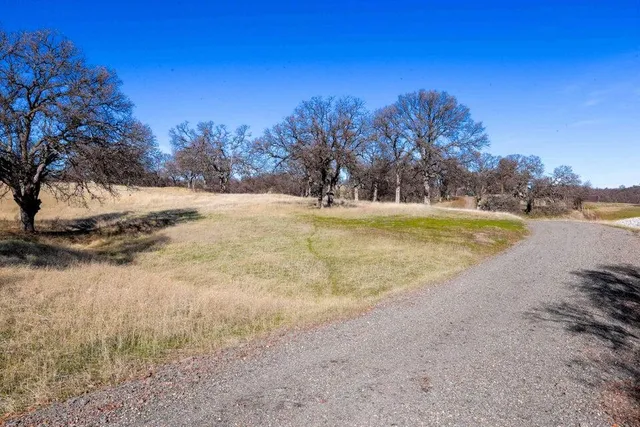 a view of a lake with trees by side of the road