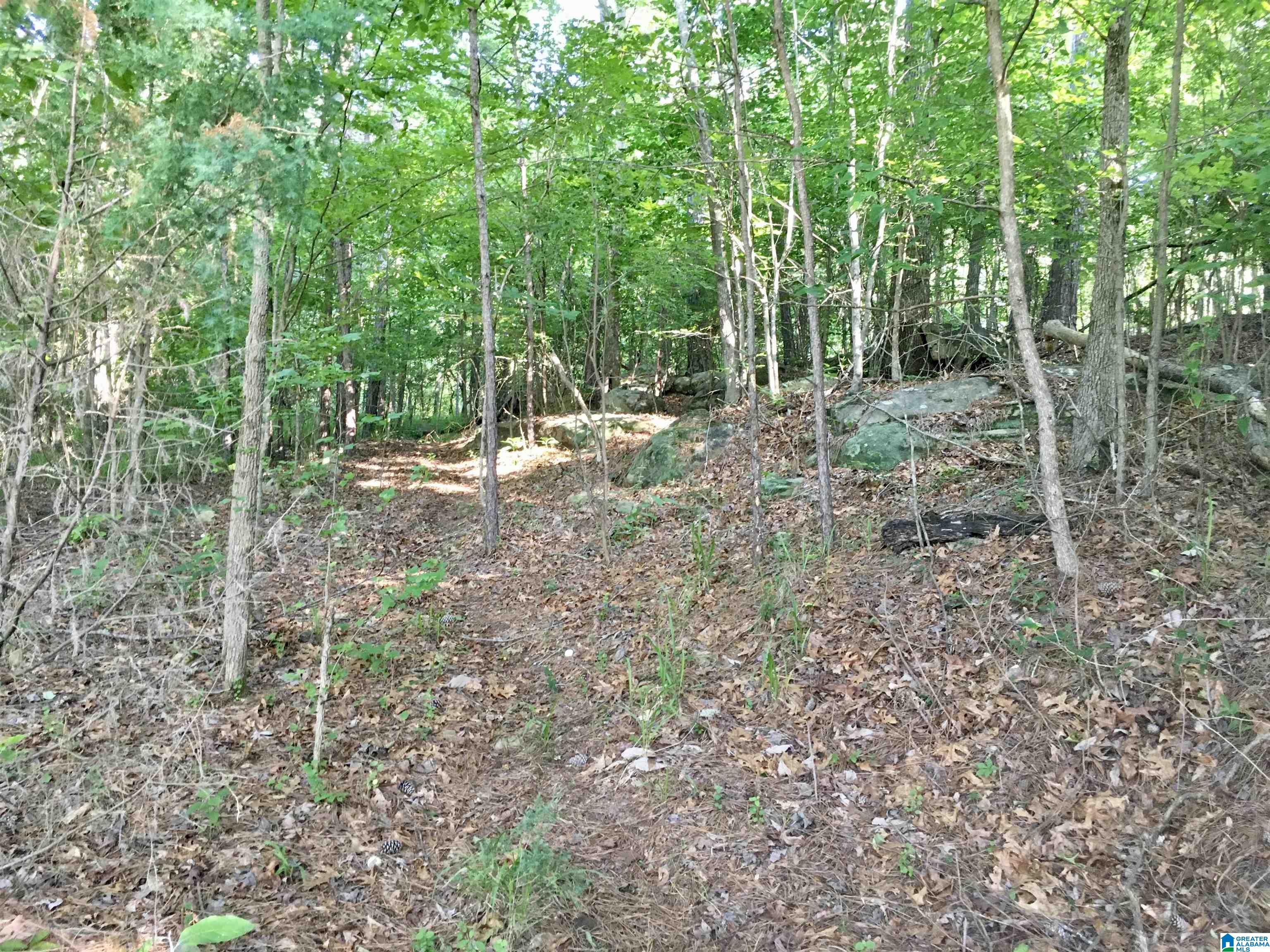 0 Quail Ridge Road, Unit 1 Oneonta, AL 35121 - Photo 23 of 29