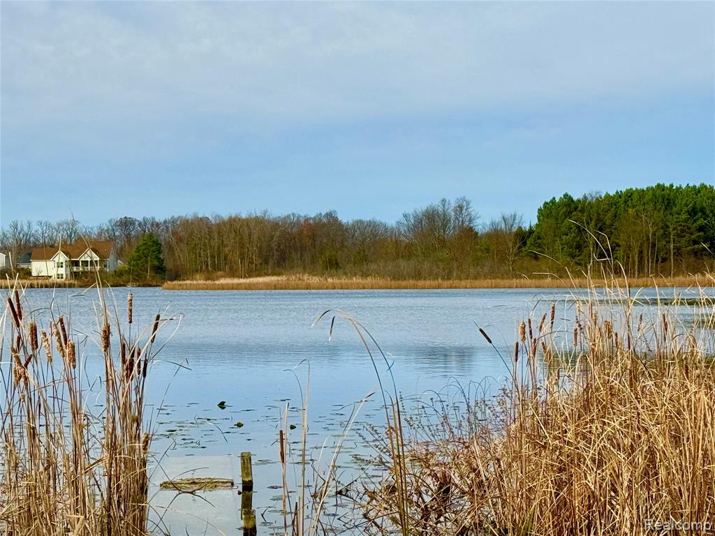 0 Butcher Road Fenton, MI 48430 - Photo 4 of 6