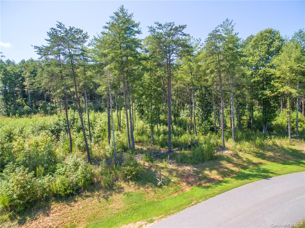 Tbd Peninsula Reserve Road, Unit 4 Nebo, NC 28761 - Photo 3 of 20 Gallery Image 3