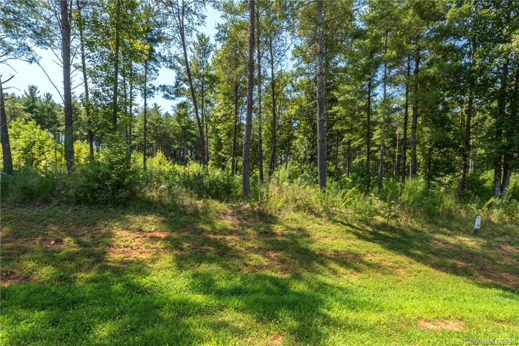 Tbd Peninsula Reserve Road, Unit 4 Nebo, NC 28761 - Photo 5 of 20 Gallery Image 5