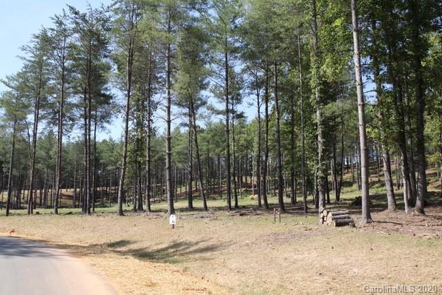 Tbd Peninsula Reserve Road, Unit 4 Nebo, NC 28761 - Photo 6 of 20 Gallery Image 6