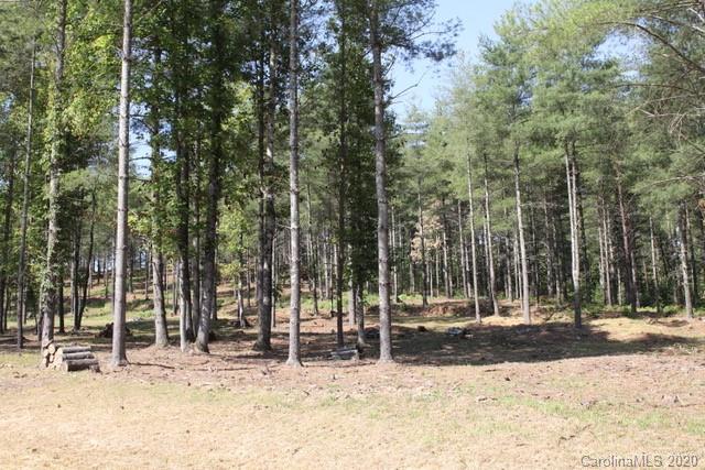 Tbd Peninsula Reserve Road, Unit 4 Nebo, NC 28761 - Photo 7 of 20 Gallery Image 7
