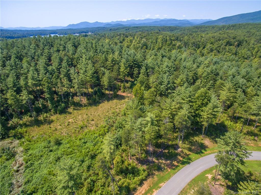 Tbd Peninsula Reserve Road, Unit 4 Nebo, NC 28761 - Photo 9 of 20 Gallery Image 9