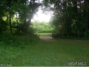 4990 Roxbury Road Stockport, OH 43787 - Photo 8 of 12 Bridge to Extra Fields