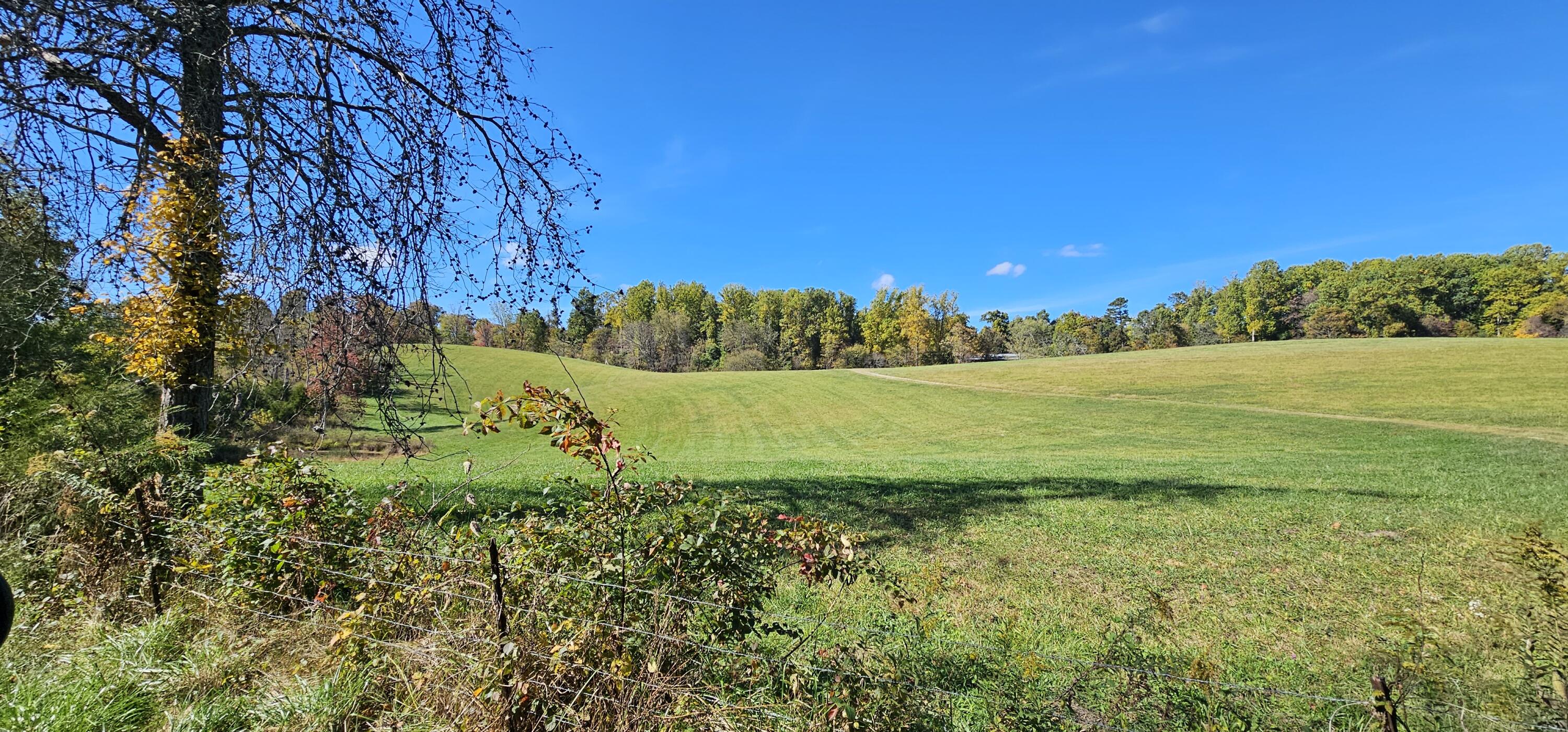 636 Clinch Valley Road Eidson, TN 37731 - Photo 1 of 34 20231018_142949