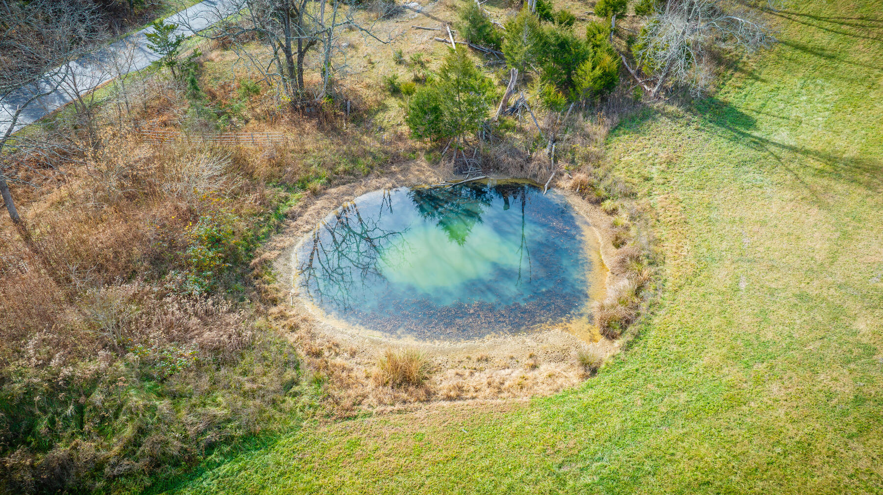 636 Clinch Valley Road Eidson, TN 37731 - Photo 13 of 34 116