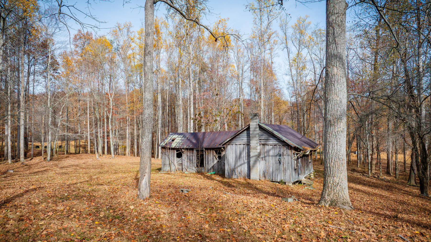 636 Clinch Valley Road Eidson, TN 37731 - Photo 15 of 34 127
