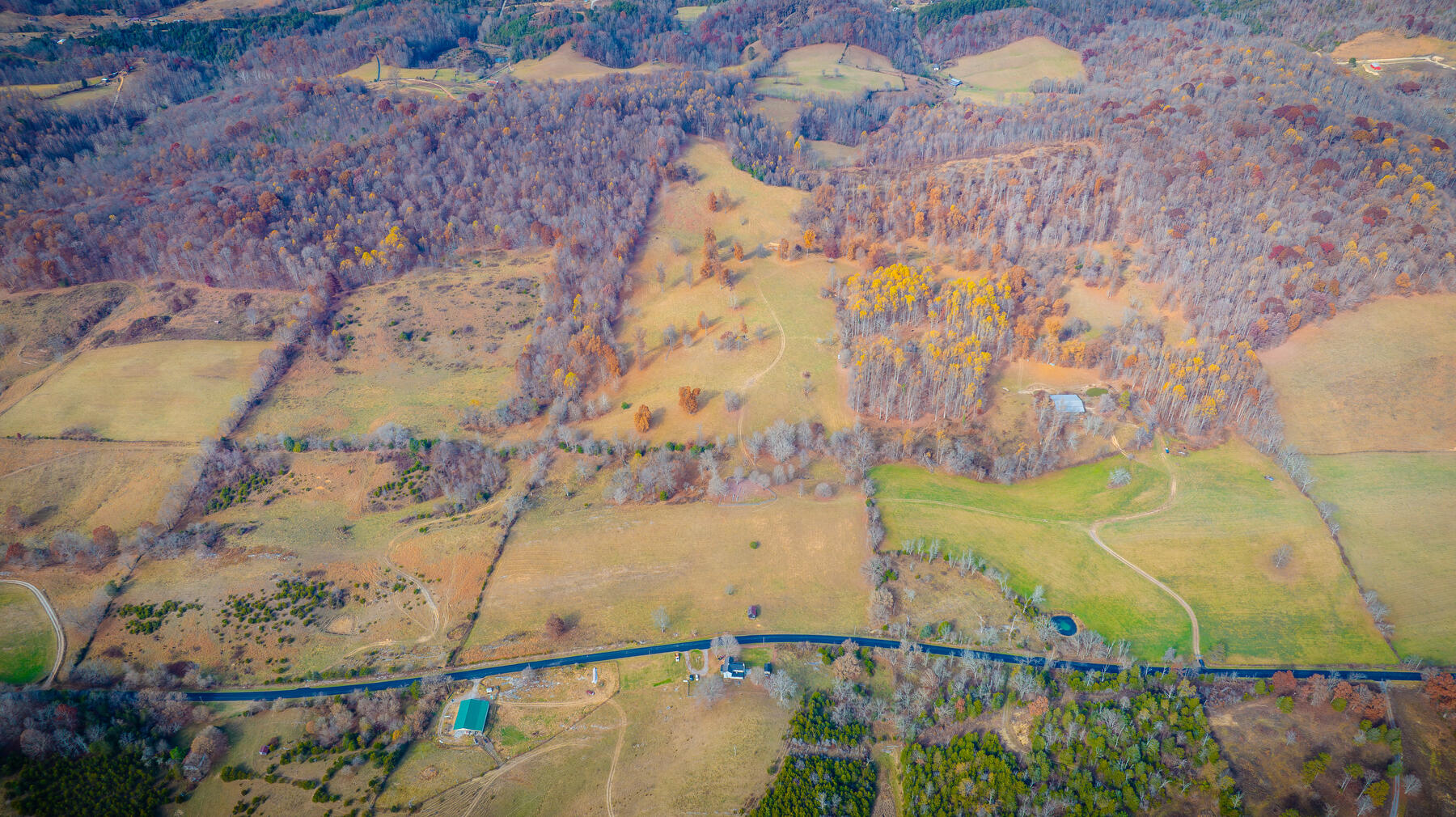 636 Clinch Valley Road Eidson, TN 37731 - Photo 4 of 34 101