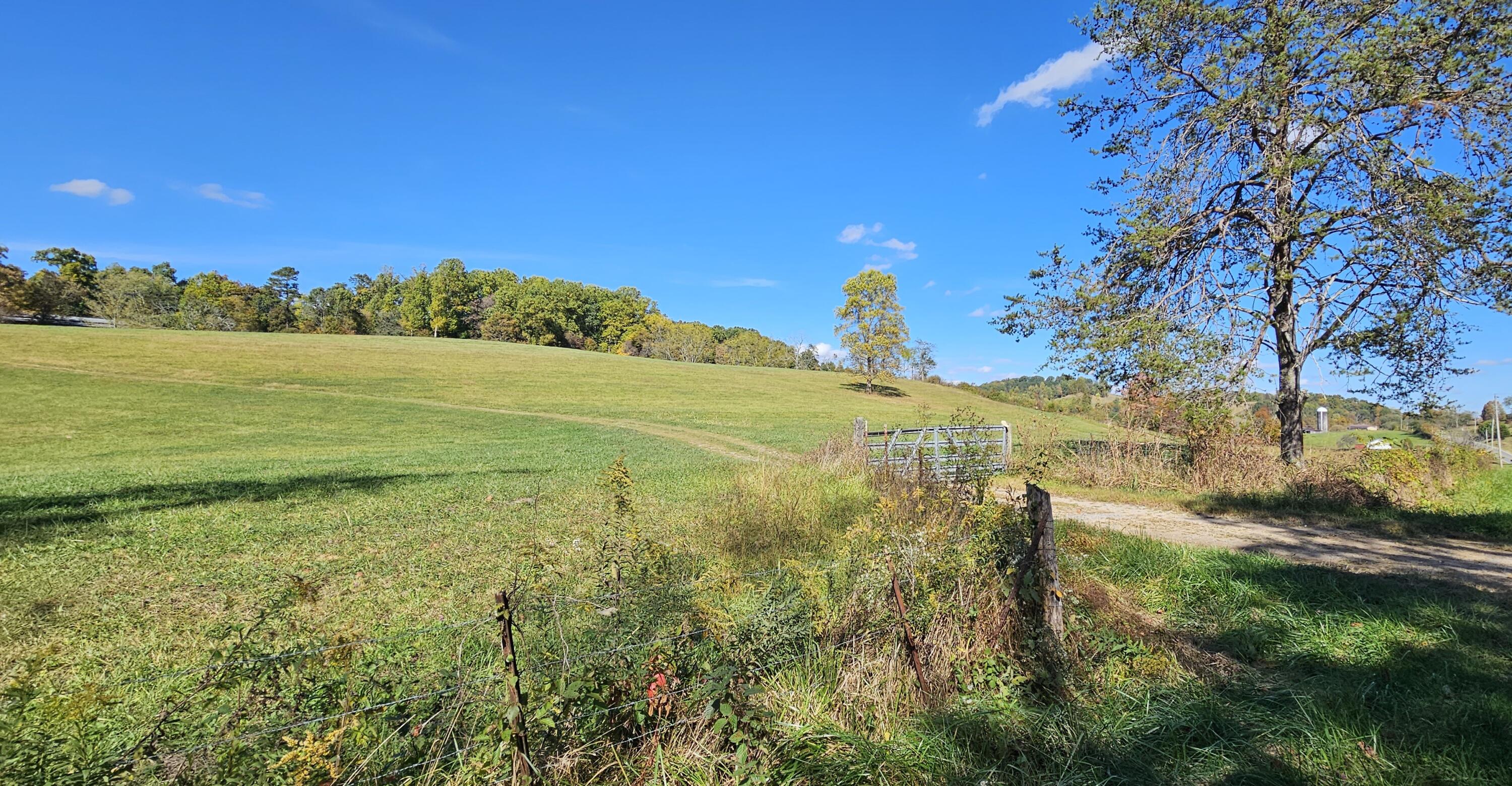 636 Clinch Valley Road Eidson, TN 37731 - Photo 7 of 34 20231018_142947