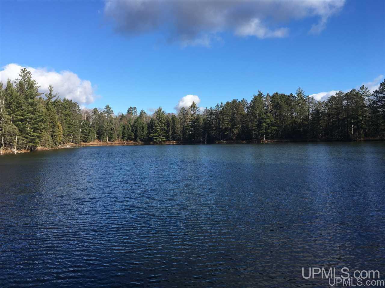 Tbd Chain Of Lakes Road Ishpeming, MI 49849 - Photo 20 of 46