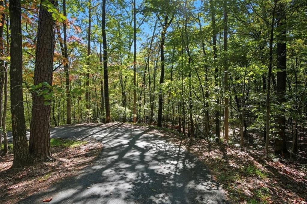 226 Wild Azalea Circle Jasper, GA 30143 - Photo 2 of 12 a view of a forest with trees