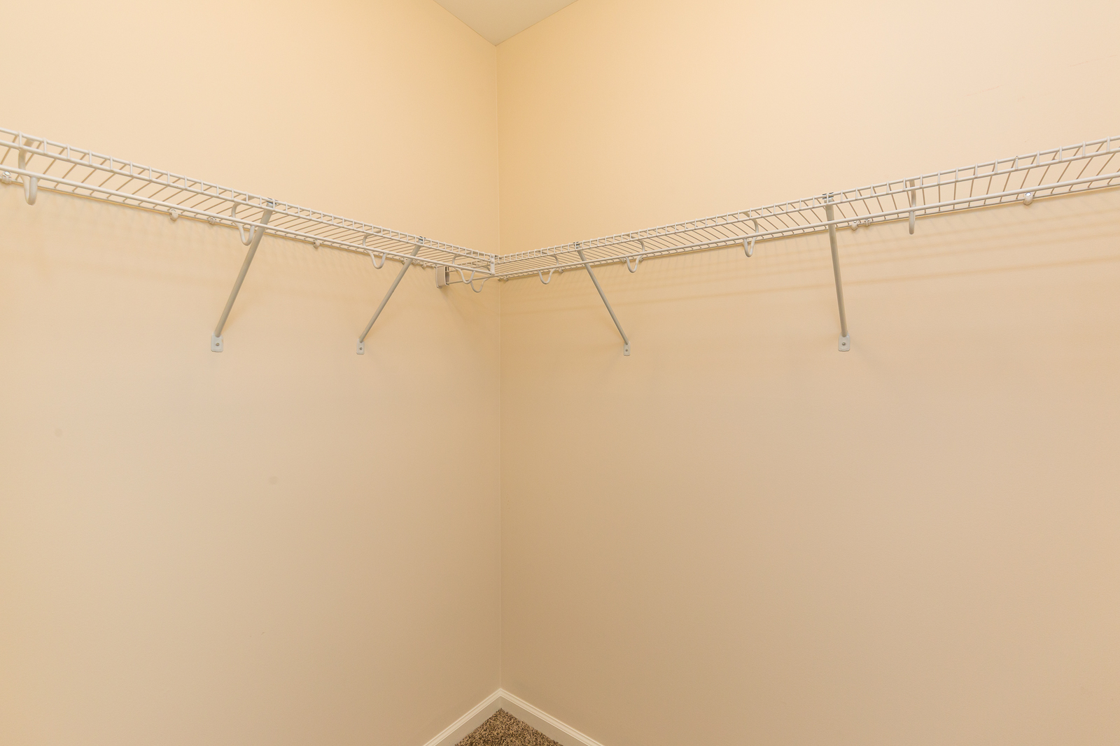 60 West Main Street, Unit 333 Lake Zurich, IL 60047 - Photo 14 of 15 a bathroom with a shower